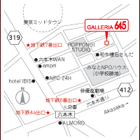 GALLERIA 645Fn}